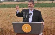 مرسي بحقل للقمح: من يشم رائحتنا يجدنا فلاحين
