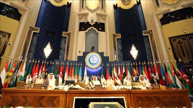 Saudi-Moroccan rejection of a  proposal for Yemen in final statement of the Organization of Islamic Cooperation
