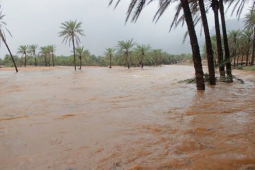 مساعدات أممية عاجلة إلى سقطرى والسعودية تسيّر طائرة إغاثية جديدة