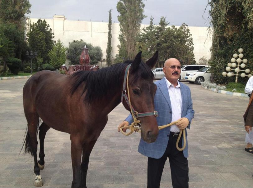 الحوثيون يصادرون ممتلكات صالح بعد يومين من مقتله
