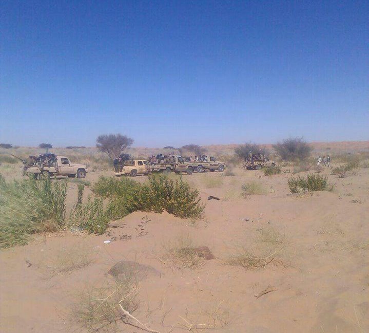 Pro-government forces fend off Houthis attack, kill elements in Shabwa – military source