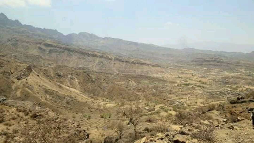 Houthi leader,a number of militants killed in Gov't forces advance western Taiz    
