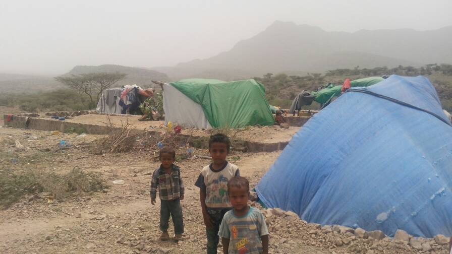 Taiz receives 303 thousand IDPs: UNHCR