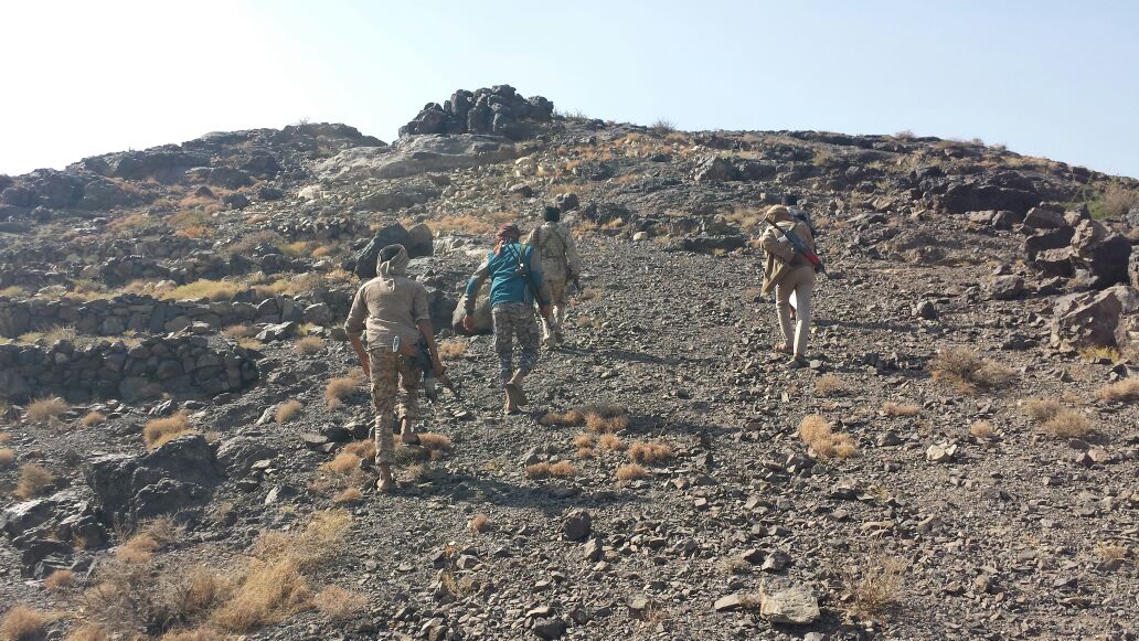 Pro-government forces secure 3 military sites in Mozza western Taiz – source