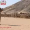تنفيذًا لتوجيهات عليا: قوات درع الوطن تنسحب من الصبيحة بمحافظة لحج وتعود إلى ثكناتها