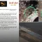 شركة "صقر الحجاز" تعترض على قرار إيقاف نشاطها وتؤكد تعرض حافلتها لإطلاق نار قبل احتراقها في أبين