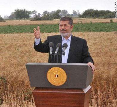 مرسي بحقل للقمح: من يشم رائحتنا يجدنا فلاحين