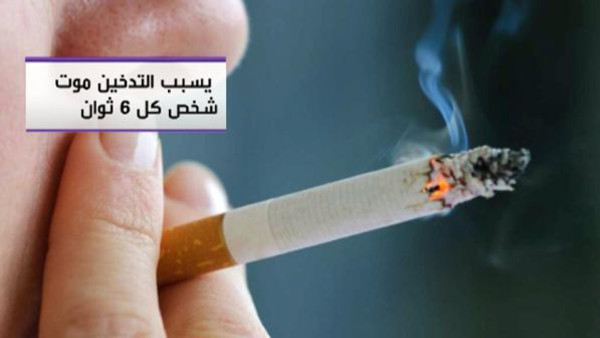 دراسة جديدة: الرئة لديها قدرة "سحرية" على إصلاح نفسها وتمنع الخلايا السرطانية بعد ترك التدخين