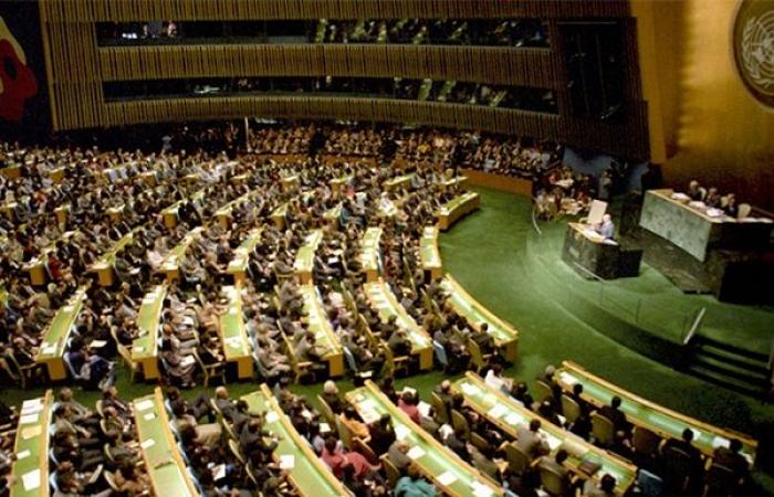 Saudi Arabia denies international accusations of targeting farms in Yemen