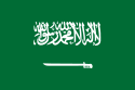 السعودية تطالب بوقف العمليات العسكرية الروسية في سوريا فوراً