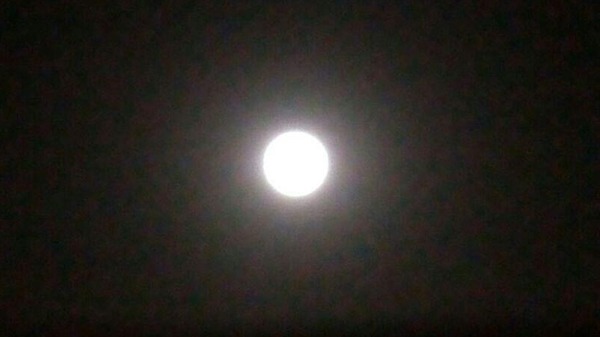 فلكيون: رمضان 29 يوماً.. والعيد الخميس 8 أغسطس