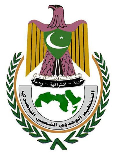  الناصري: إطالة أمد الحرب حولها إلى تصفية حسابات بين أطراف الصراع وفرض إرادات 
